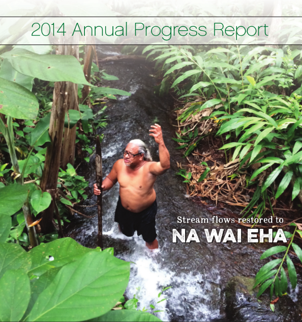 Maui Tommorrow 2014 Year End Report